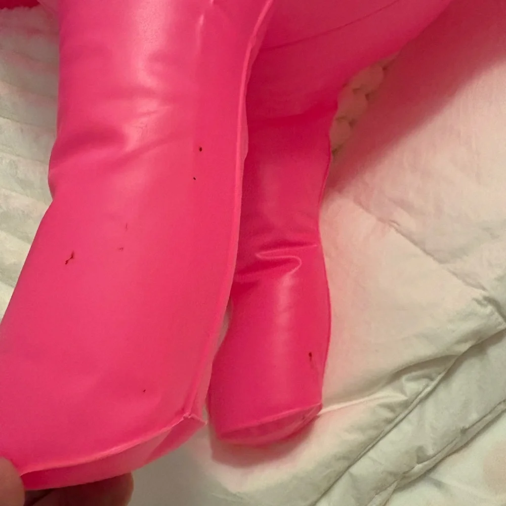 Victoria Secret Pink Inflatable Dog Store Display
